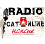 CatOnline Radio Network