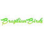 Rádio Brazilian Birds