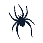 Spider IMG Sports Network