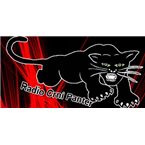 radio crnipanter