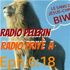 RADIO PELERIN875