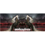 Mustangteam