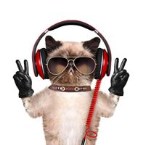 RADIOEX