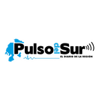 Pulso del Sur