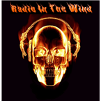Radio In The Wind