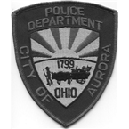 Northeast Summit County Police