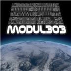 modul 303