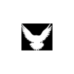 ServerCrow