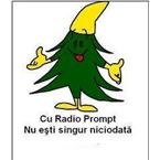 RADIO PROMPT ONLINE
