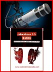colorstereolaradio.com
