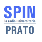 Radio Spin