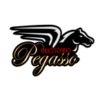 Radio Sonido Pegasso