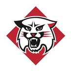 Davidson Wildcats Sports Network