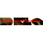 Radio Pasion Granada