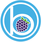 BlackBerry Soul Radio
